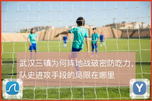 武汉三镇为何阵地战破密防吃力,队史进攻手段的局限在哪里