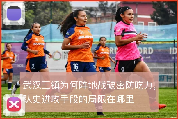 武汉三镇为何阵地战破密防吃力,队史进攻手段的局限在哪里