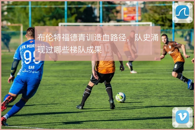 布伦特福德青训造血路径，队史涌现过哪些梯队成果